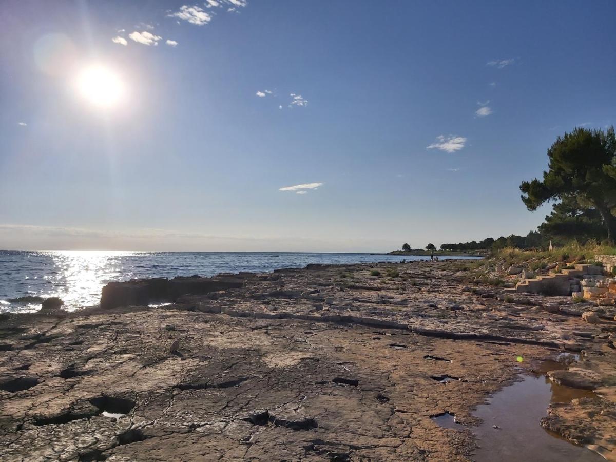 Lucia Apartment Umag